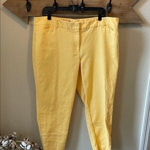 Liz Claiborne Emma Classic size 18 sunflower Yellow Pants